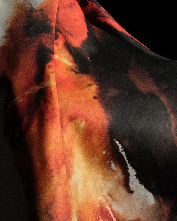 项目的发展 项目的发展